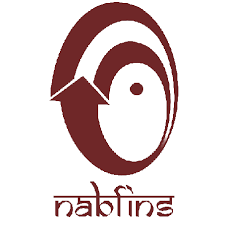 NABFINS