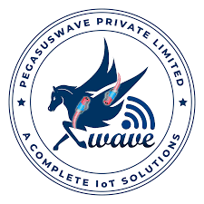 Pegasuswave Private Limited